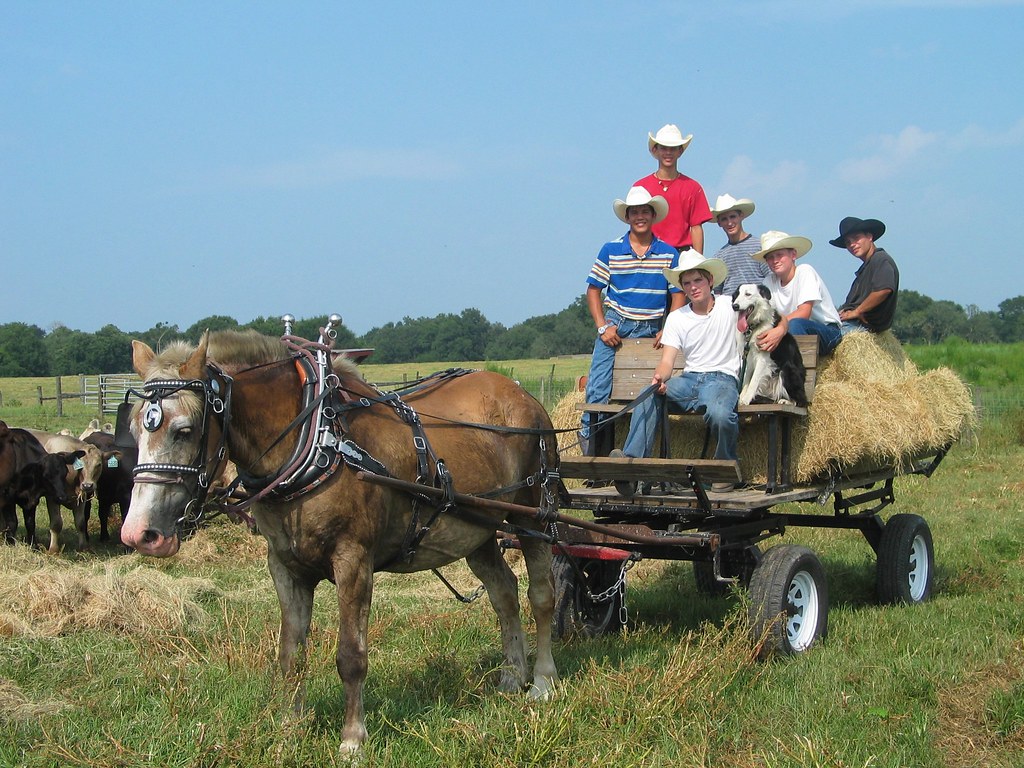 Florida Sheriffs Boys Ranch Live Oak, FL Florida Sheriff… Flickr