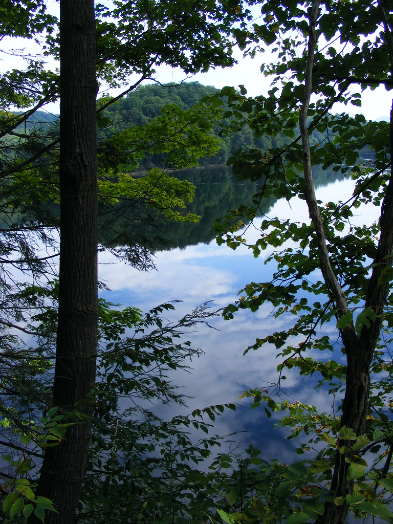 Another Summer Reflection Lake Gordon Lake Gordon, Bedfo… Flickr