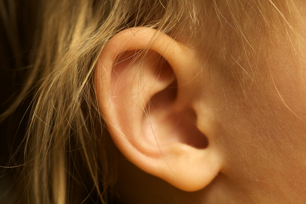 Ear View big Travis Isaacs Flickr