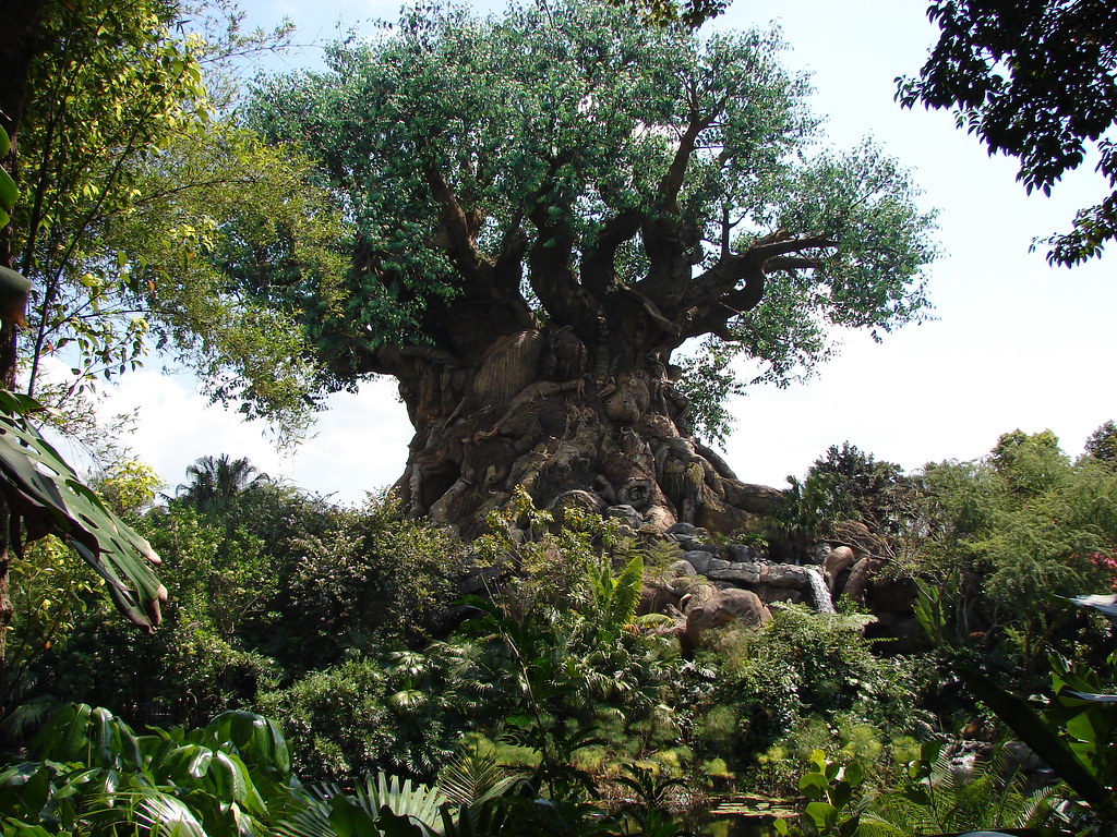 Picture 177 The Tree of Life looks real but is fake, there… Flickr