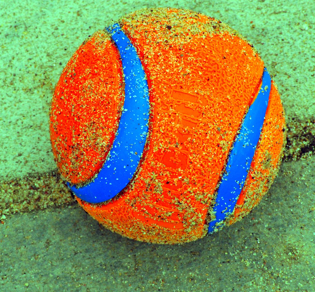 BEACH BALL ball found on the beach marc falardeau Flickr