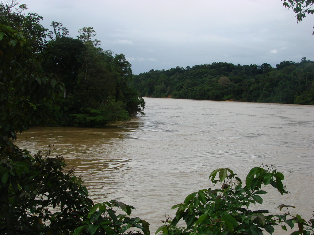 Rajang River, Malaysia Looking at the muddy Rajang river