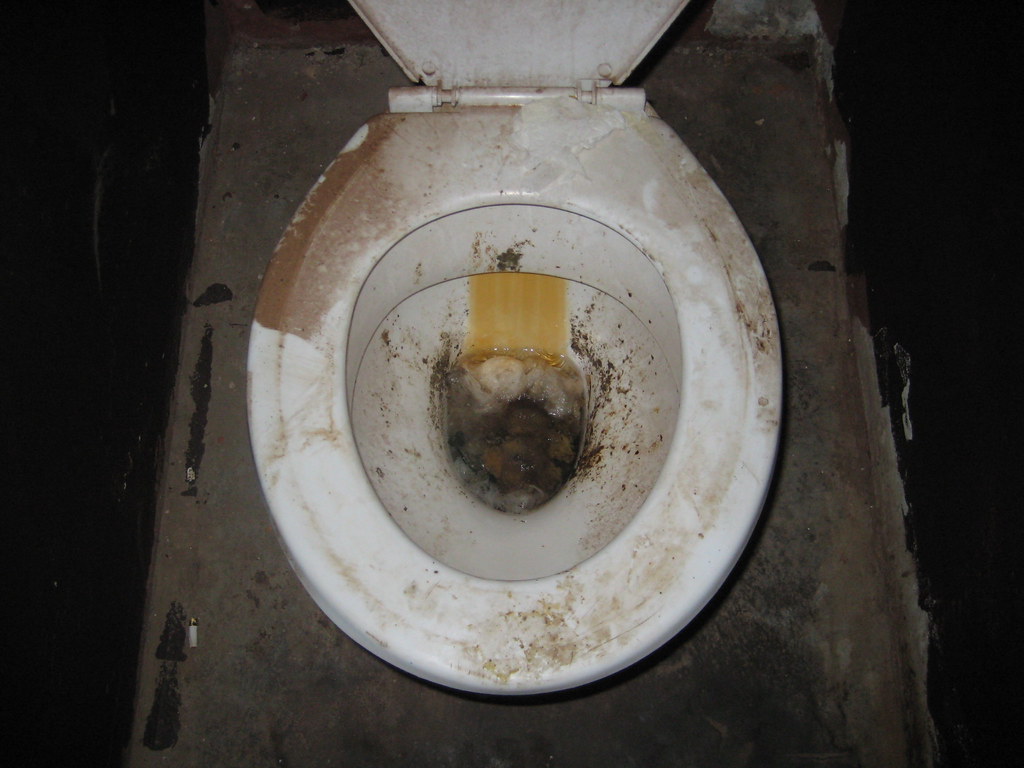 Dirty Toilets in South African School Cecilia Snyder Flickr
