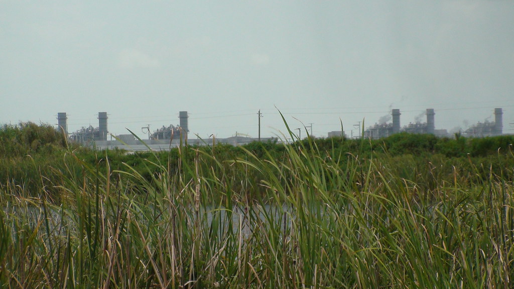West County Energy Center Power Plant in the Everglades Flickr
