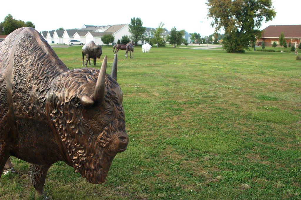 Buffalo Herds Well...if you can call six buffalo statues a… Flickr