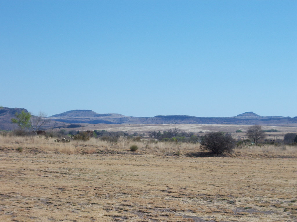 South Texas plains Wow, it's hot out here. whitewolf1996 Flickr