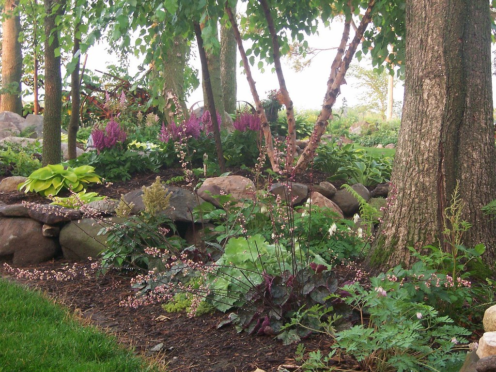100_1710Landscaping, Gardens, Shade Garden, Hostas Flickr