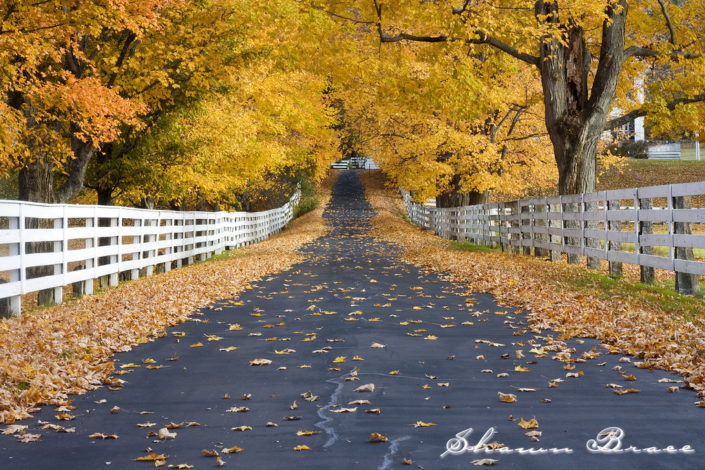 Orford, New Hampshire In anticipation of the fall shooting… Flickr