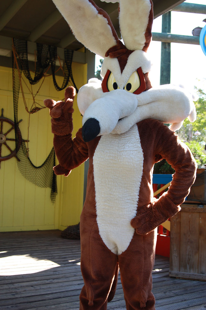 Wile E. Coyote Victoria Renee Martinez Flickr