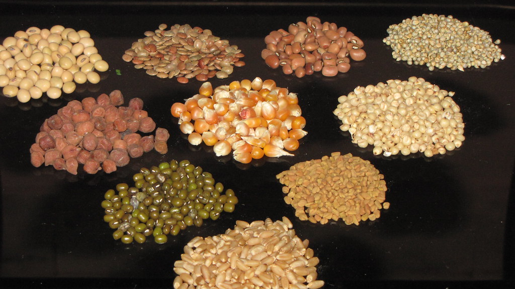 millets & traditional indian recipes To view this pic big … Flickr