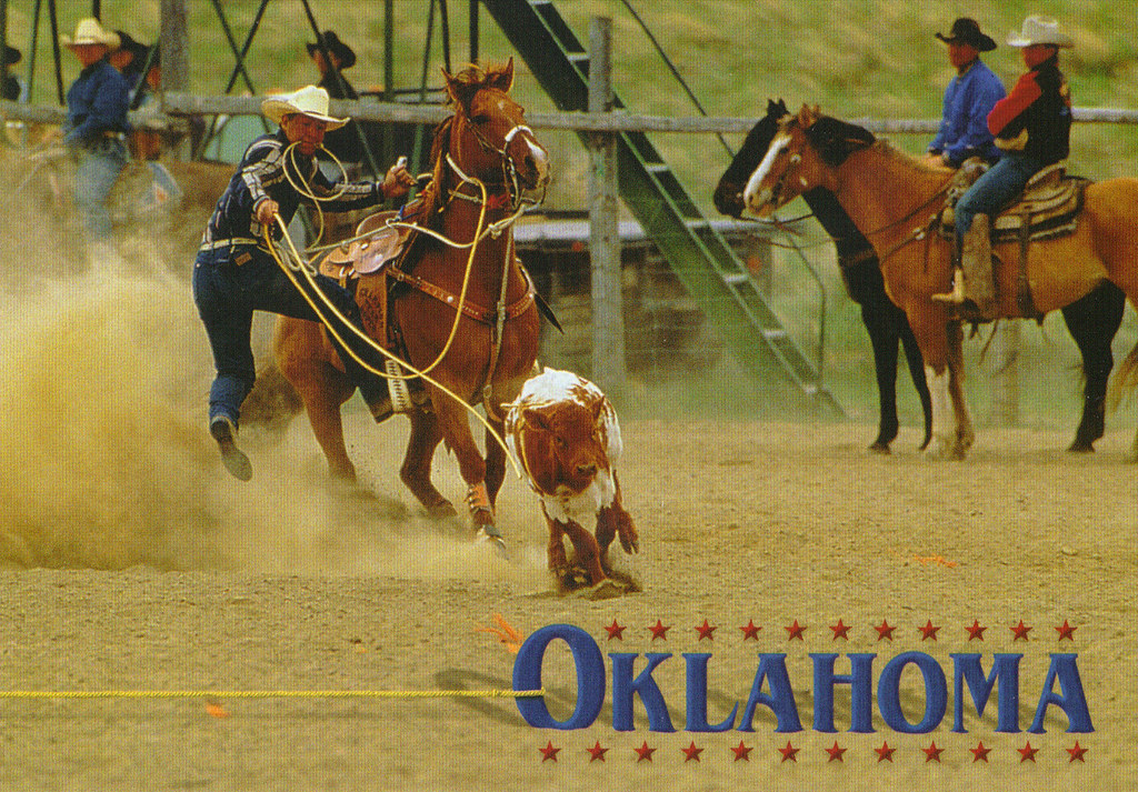 Oklahoma Rodeo Postcard Oklahoma cattle roping. Flickr