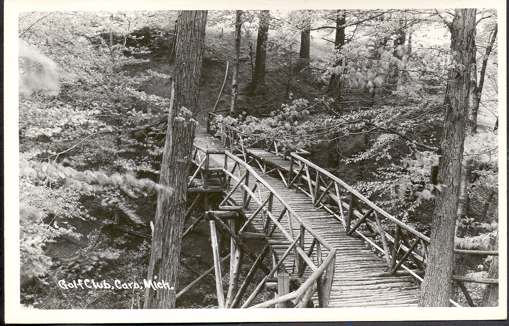 Caro MI beautiful woodland Rustic Bridge at the old Golf C… | Flickr