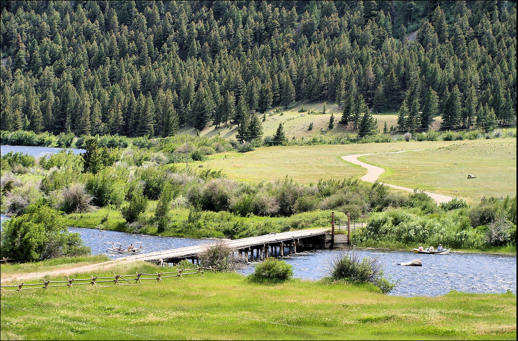 44744 Fishing the Madison River, Montana The Madison River… Flickr