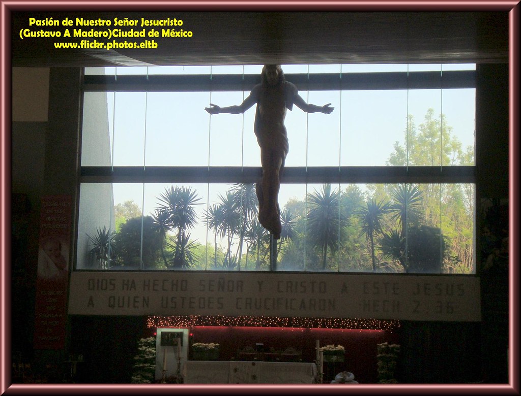 Arbol Genealogico De Nuestro Senor Jesucristo