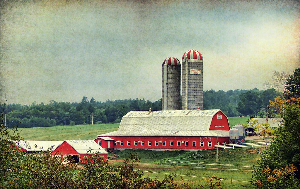 Shady Lane Farm, Truro NS to Shady Lane Farm. This… Flickr