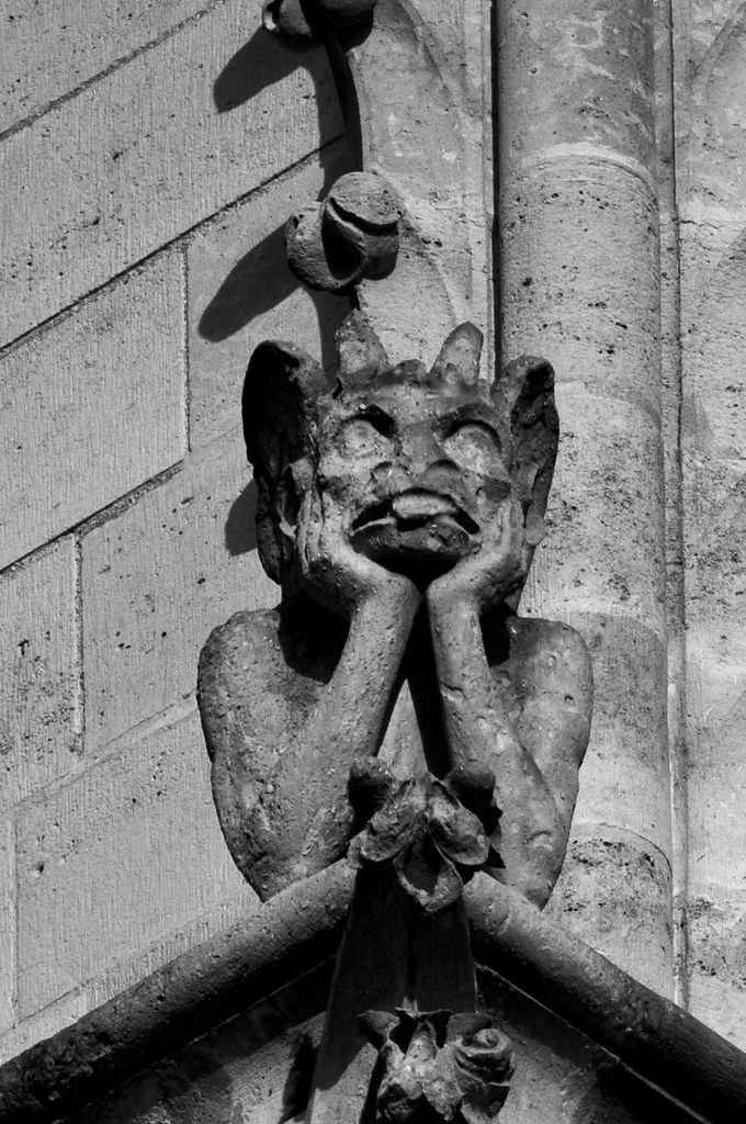 The Gargoyles of Notre dame Le Stryge This gargoyle is p… Flickr