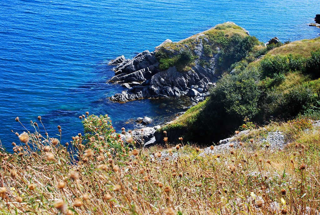 Hillside Freshwater, Carbonear Newfoundland and Labrador w… Flickr