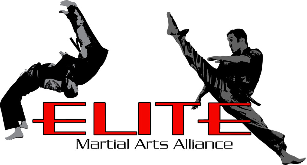 Elite Martial Arts Alliance Joey Perry Martial Arts