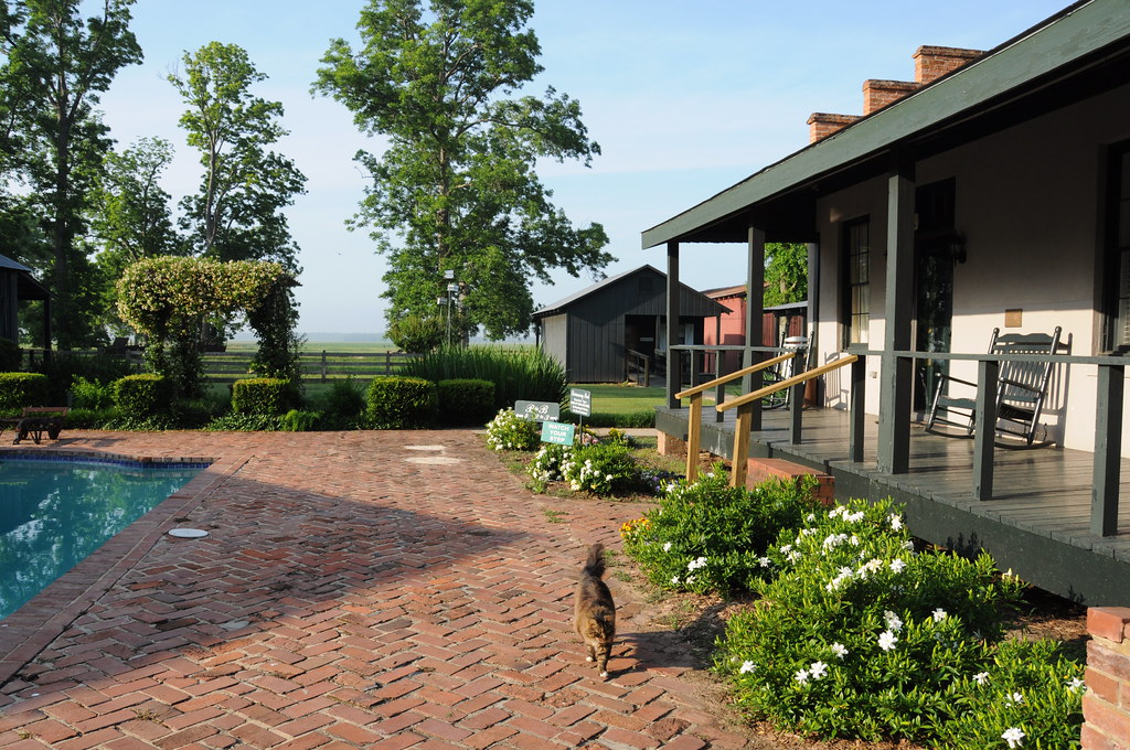 Loyd Hall Plantation Cheneyville, Louisiana, May 15, 2009 Kent