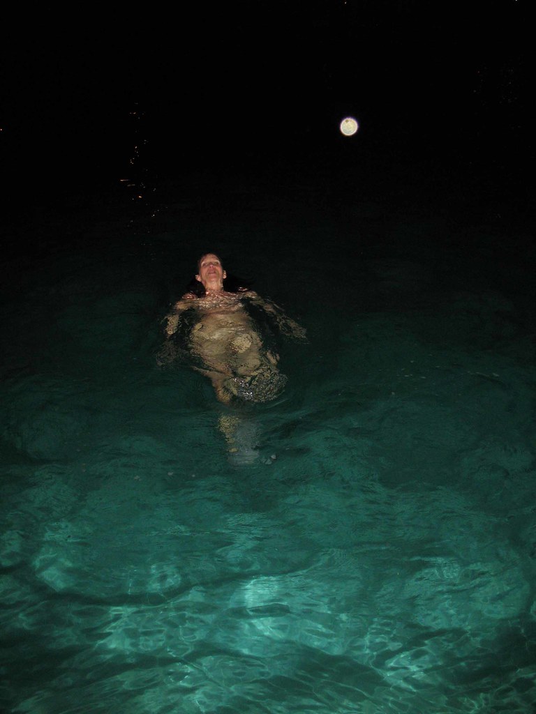 Images of Dip in the pool JapaneseClass.jp