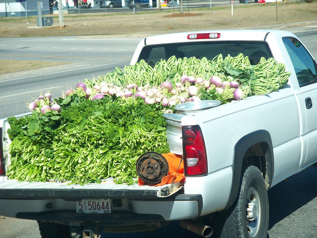 100_6363 Fell Off a Turnip Truck? Headed to market near Lo… Flickr