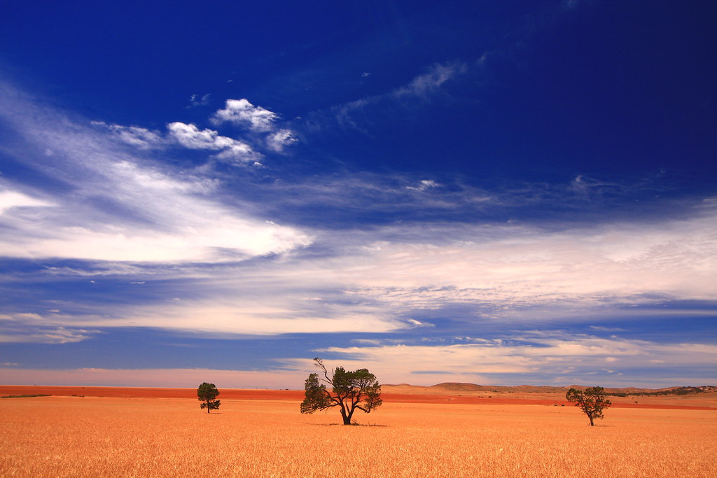 A land of sweeping plains Plains around Terowie, MidNorth… Flickr