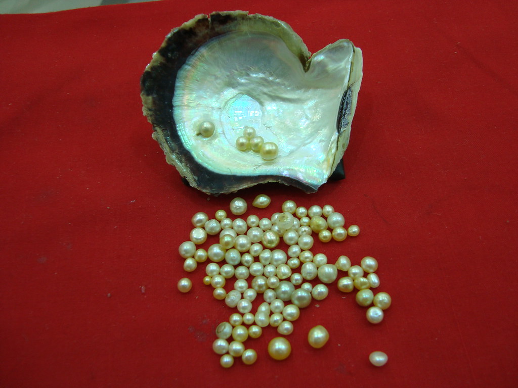 natural pearls of bahrain these are natural real genuine p… Flickr