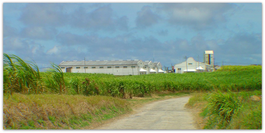 Mount Gay Rum Distillery,Barbados Mount Gay Rum is produce… Flickr