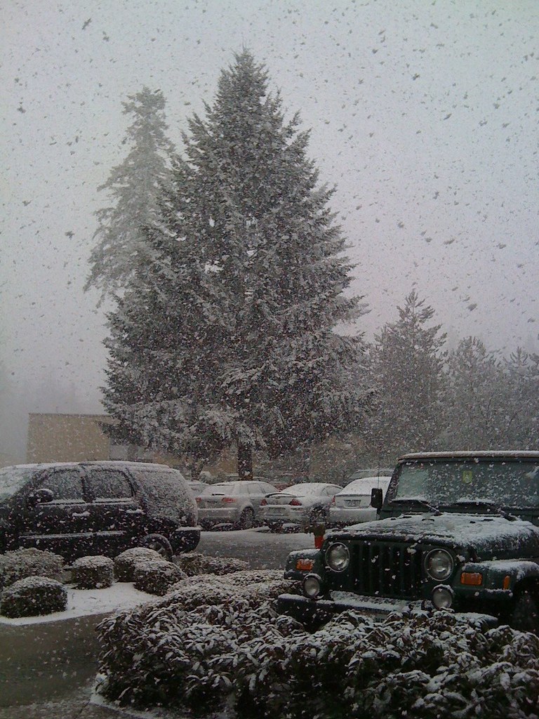 Snow in Redmond, WA It's snowing on March 9th in Redmond, … Mark Verner Flickr