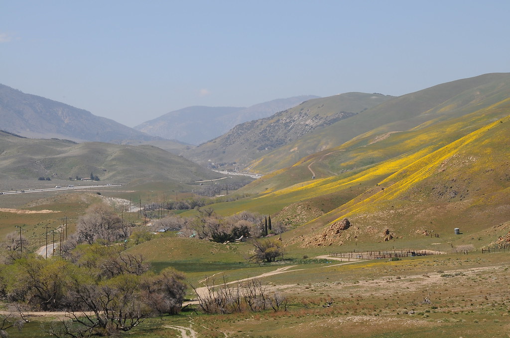 Gorman, CA Hills near Gorman Ca bighornplateau1 Flickr