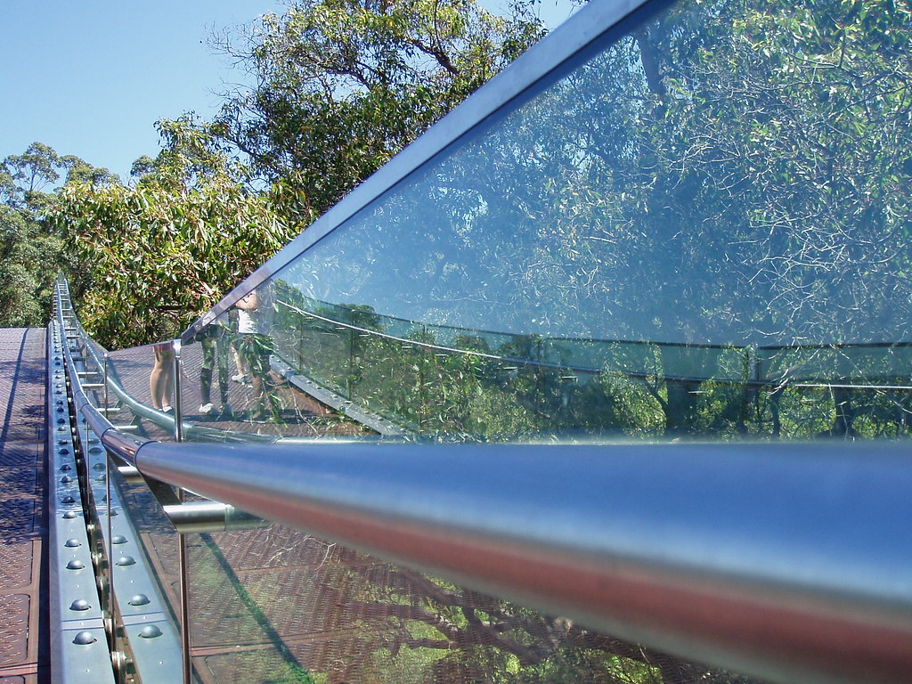Federation Walkway. Glass Bridge. Kings Park. Perth Flickr