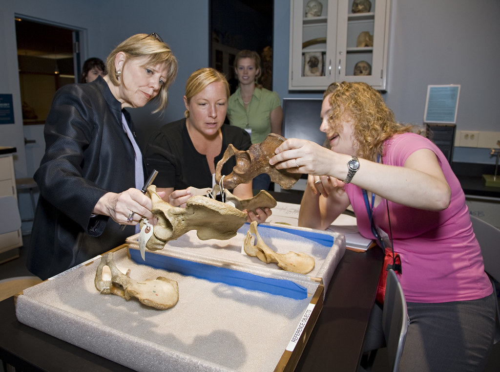 Forensic Anthropology Lab tour The Afflilations tour of th… Flickr