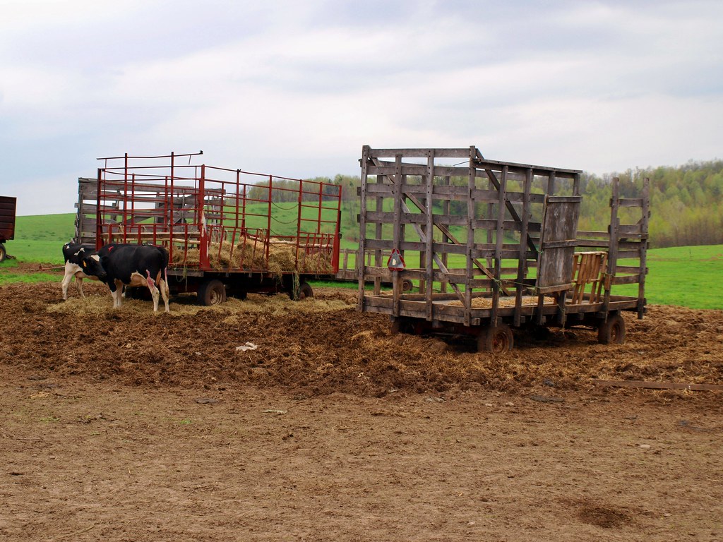 Hay Wagons Claeysen's Dairy Farm Upstate New York Shutterfool Flickr