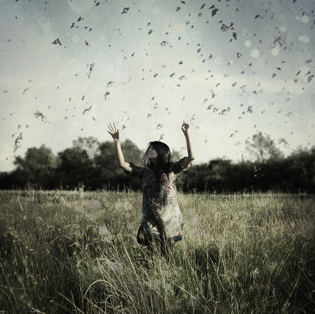 130365 chasing butterflies “Some people are settling … Flickr