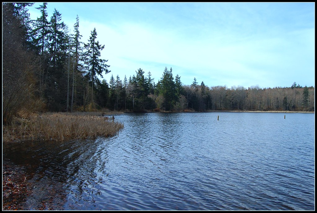 Buck Lake Buck Lake County Park Hansville, Wa February 21,… Flickr