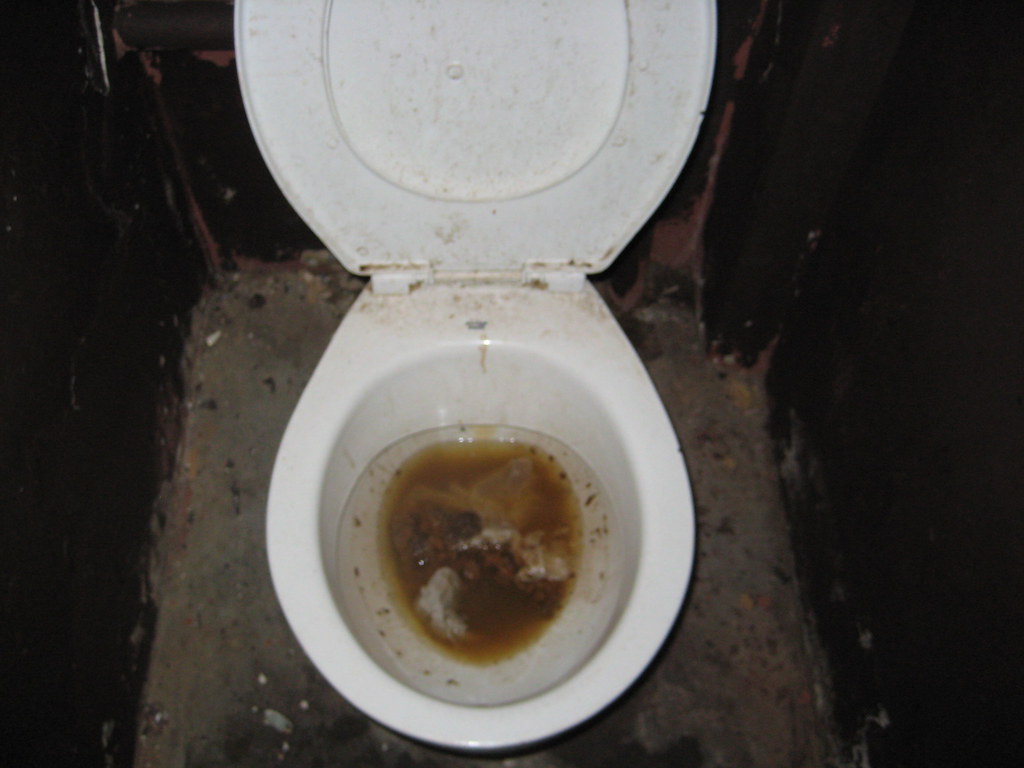 Dirty Toilets in South African School Cecilia Snyder Flickr