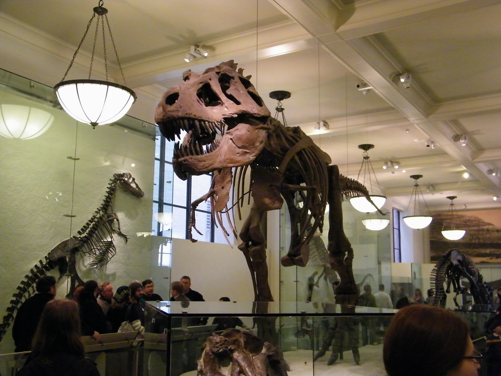 Dinosaur inside the American Museum Of Natural History Flickr