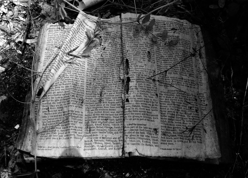 Into the Promised Land, Joshua 18, Abandoned Bible, White … Flickr