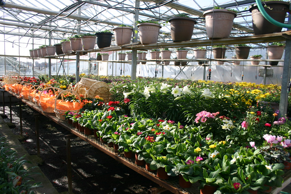 Gertens Greenhouse Inver Grove Heights, MN. Working in a g… Flickr