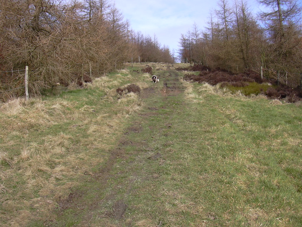 Peel Park, Accrington, Lancashire Peel Park is a large and… Flickr
