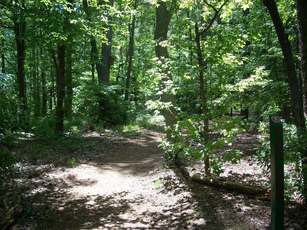 Sandy Bottom Nature Park Hampton, VA Ryan Flickr