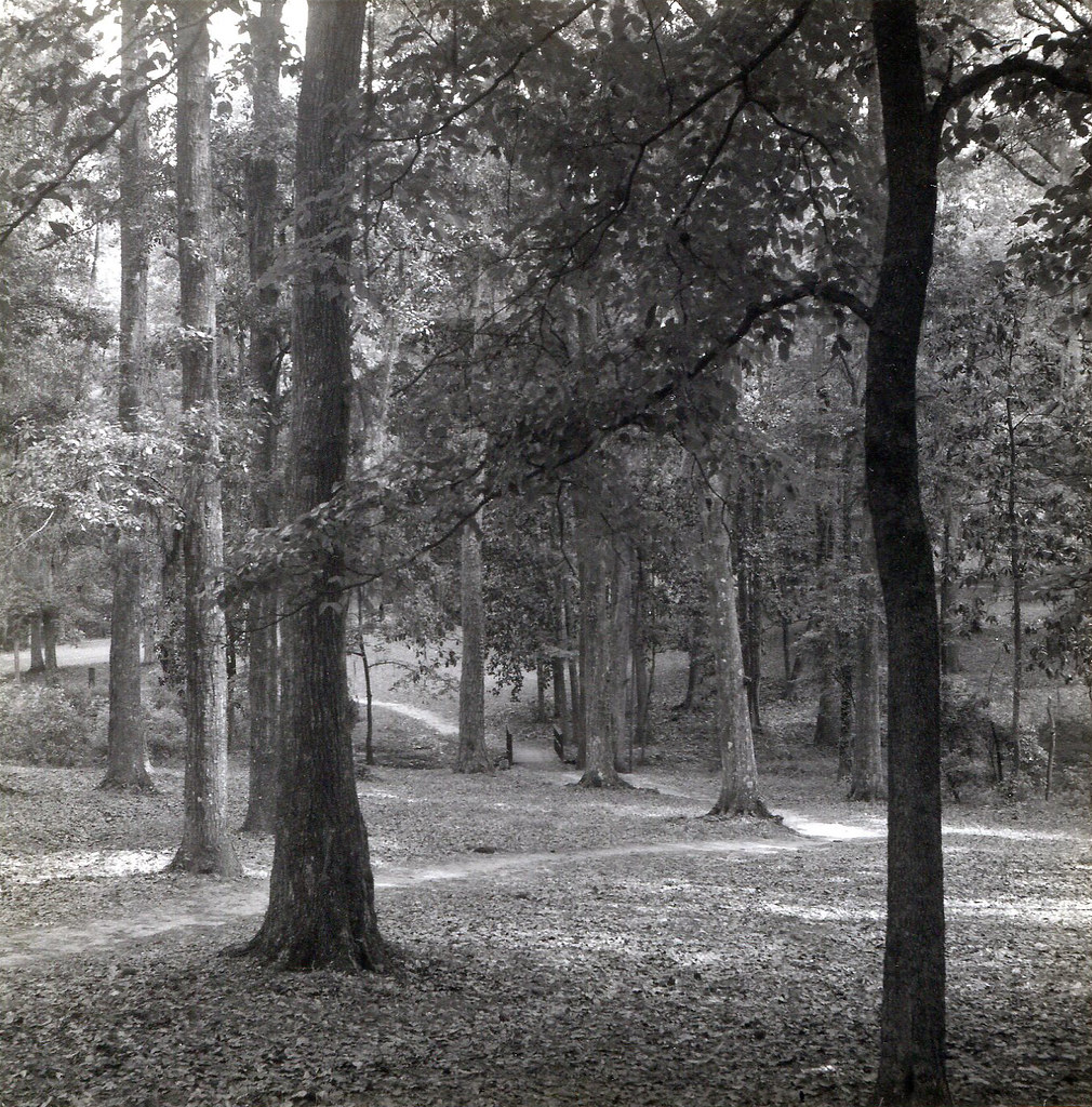 Myers Park (Tallahassee, Florida) Taken about 30 years ago… Flickr