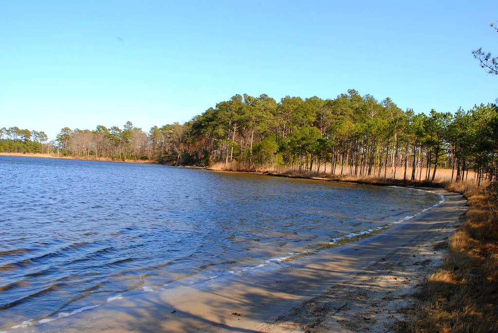 Assawoman Bay State Wildlife Area Looking north east towar… Flickr