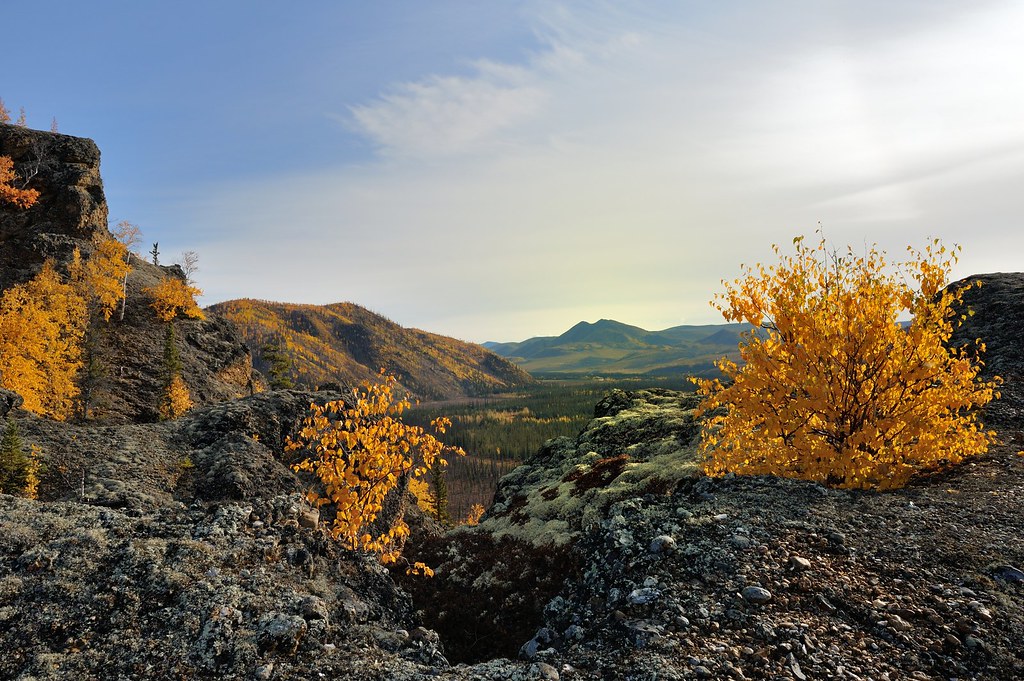 South Fork Koyukuk River, Alaska, USA Looking up river to … Flickr