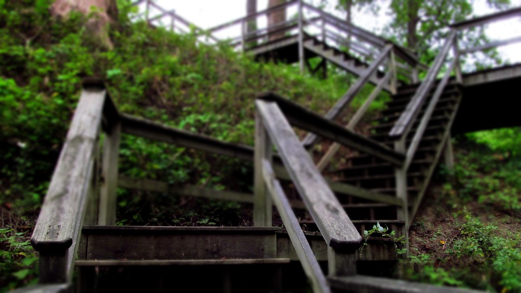 Matoaka Beach, Maryland (Calvert Cliffs) Photograph by Jam… Flickr