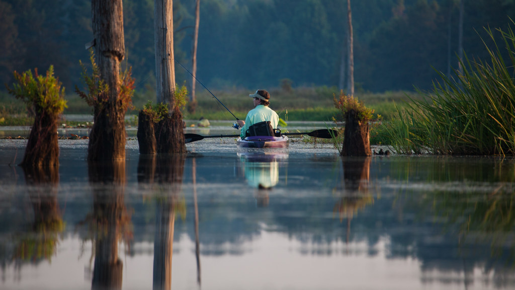 Kayak Fishing on Cypress Black Bayou Photographer Jim Noet… Flickr