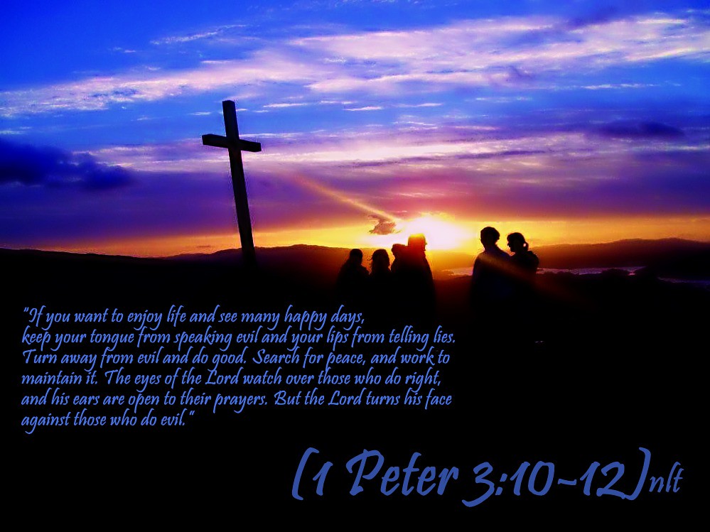 1 Peter 31012 nlt 060213 Today's Bible Scripture. Bob Smerecki Flickr