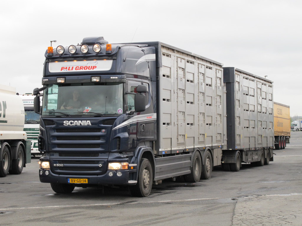 Netherland - Pali Group - Scania | ibericatruck | Flickr