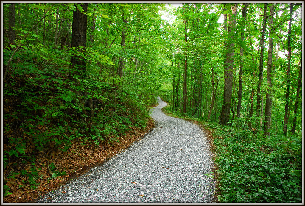 The Little Rock Road Through The Woods Explore 5 Flickr