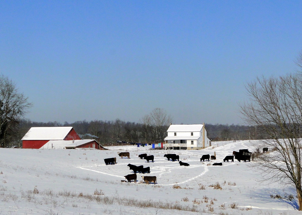 Amish Farm on a Winter Day One of the many, many Amish far… Flickr